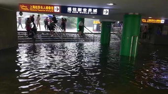 昨日暴雨致积水 上海各部门抓紧时间 补短板 