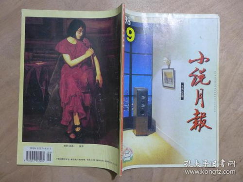 文学 文学小说 期刊 