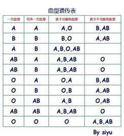 B型血和O型血生的孩子是什么血型 