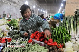 冬天新疆哪些蔬菜上涨