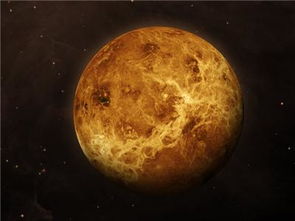 深度解析 金星
