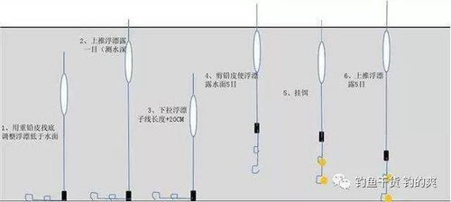 有口不上鱼 上鱼了却看不到口 浮漂调钓如何解决问题 看本篇