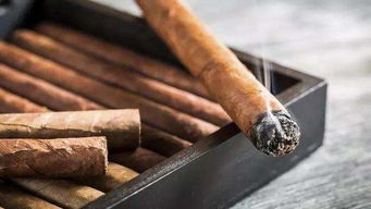 王冠雪茄双支价格揭秘，高端享受的性价比分析 - 3 - 635香烟网