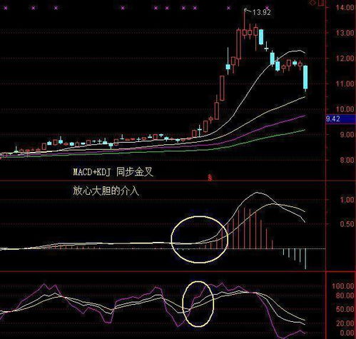 MACD金叉和死叉到底是什么意思？