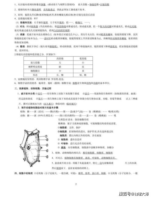 生物七年级上册知识点