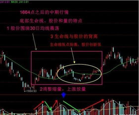 用大智慧，怎样编写列出今天在30日均线之下的全部股票