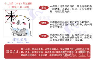 十二生肖周运势预测11.30 12.6