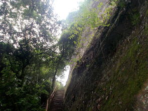 游丹霞山