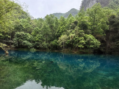 旅游方式分享 不值得来的小七孔 