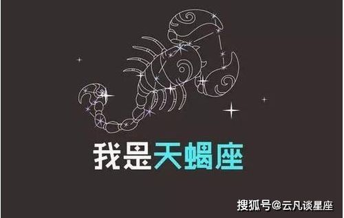 不喜欢算计人的星座,城府极深,为人低调