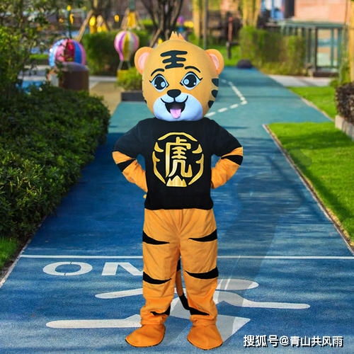 2022年生肖虎穿什么颜色的衣服一旺到底