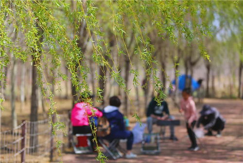 立夏,来第五季赶百亩热带雨林花卉大集,露营野炊千亩水岸丛林