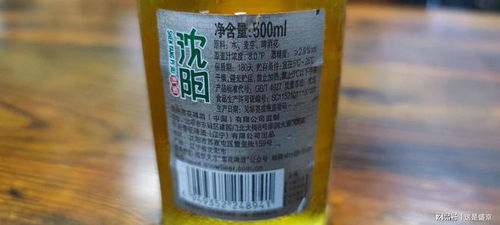 什么和夏天最配,那一定是沈阳啤酒