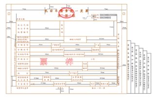 定金 会计科目黑龙江省大庆市一般纳税人一年国税、地税要交哪些税，怎么核算