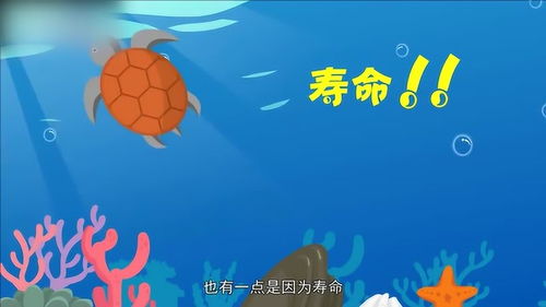 地图龟是深水龟吗,地图龟是深水龟吗水深多少