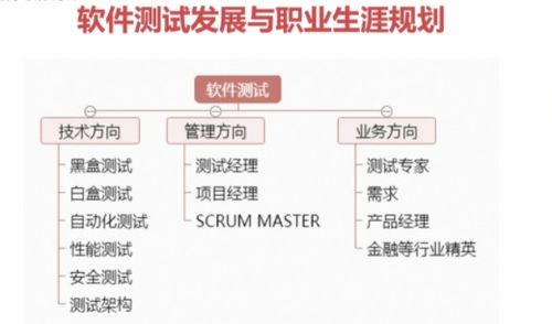 软件测试行业的职业发展方向有哪些,可以做哪些职业生涯规划,深耕or转岗