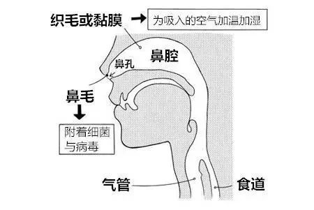 跑步需要这样的正确呼吸方法