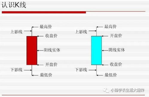 请问，证券、债券、期货、基金、股票分别是什么？