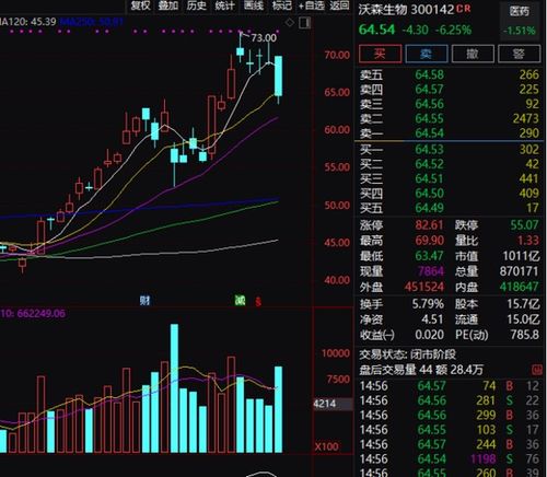 “放量跌停”是什么意思？