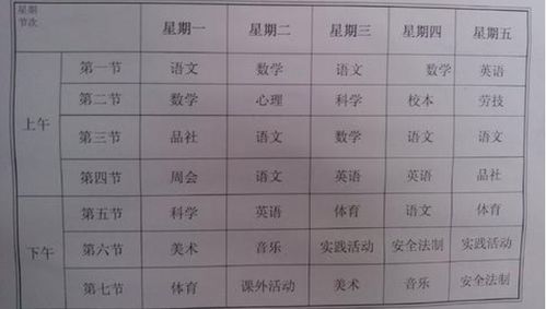 体育急须解决4个根本问题3个现实问题,才能健康发展