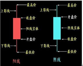 想要学习炒股，刚一开始需要做什么