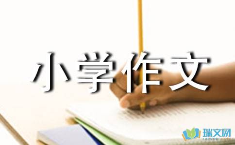 我的心愿小学作文400字四篇 