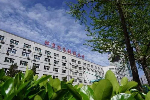 信息工程大学专科 成都信息工程学院是有专科么