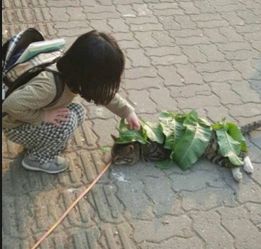 长了一张显老的脸是种怎样的体验 网友回复好无奈