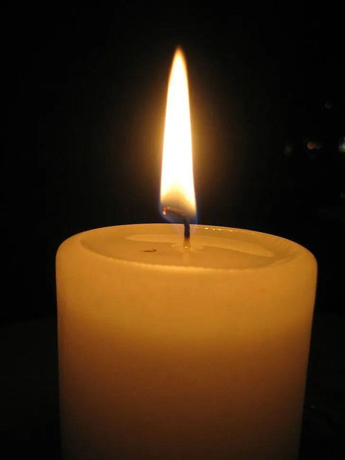 白菊花蜡烛图片 哀悼图片