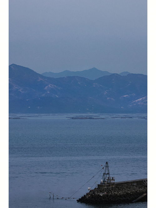 深圳 以海为背景的美术馆藏在市区的蓝 