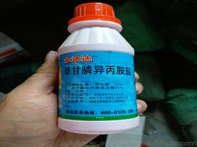 草甘膦农药除草剂介绍价格 草甘膦农药除草剂介绍批发 草甘膦农药除草剂介绍厂家 