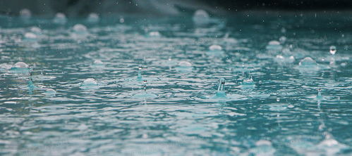 下雨背景图片下载 免费高清下雨背景设计素材 图精灵 