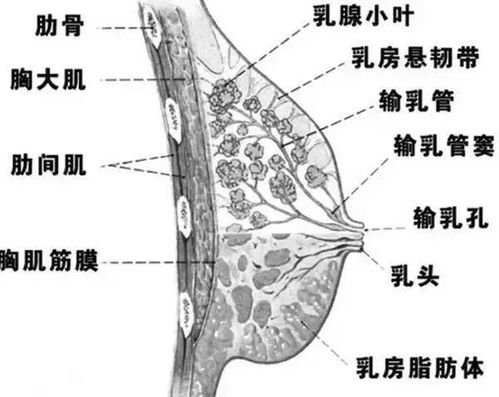 出现这些症状,当心乳腺疾病