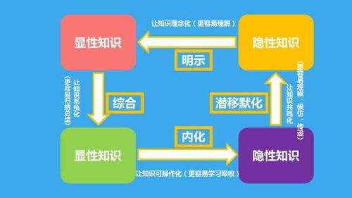 对显性知识和隐性知识的理解