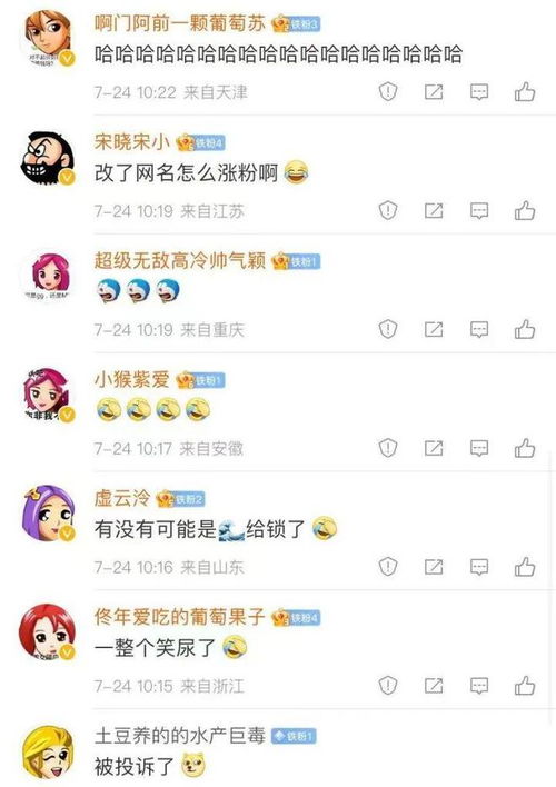 DNA动了,杨紫改头像上热搜 还记得你的初代网名和头像吗