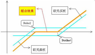 通常，在金融期权交易中，( )需要开立保证金账户，并按规定缴纳保证金 1. 期权购人者 2. 期权出售者