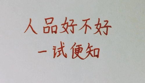 人品好不好,一试便知 