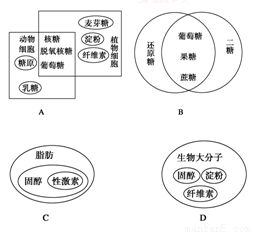 分析下图中细胞内4种重要有机物的组成及功能.回答下列问题 1 单体A.C.E.G共有的组成元素是 .它们经过 形成多聚体B.D.F.H 2 下列表示按B的功能分类的图解是 