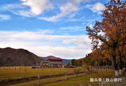 金色的十月,金色的川西 自驾川西行程之三 完梦川西