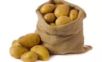 1分钟养生 胆固醇高吃红薯,心脏不好吃土豆