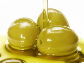 鉴别橄榄油纯度的方法