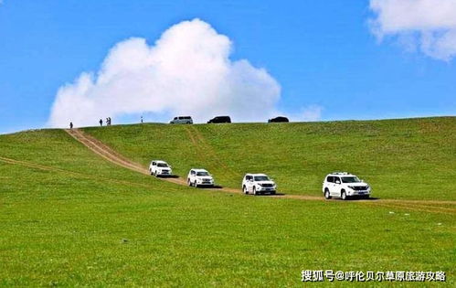 2020天津到呼伦贝尔旅游多少公里 怎么走呢