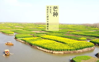 芒种到广西又暴雨 水节 撞 高考 预防四大疾病