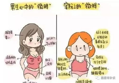 男生眼里的 微胖 女孩,和女生以为的微胖,有本质的差别
