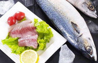 沙丁鱼 鲅鱼和沙丁鱼的区别