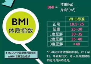 bmi19(bmi19.8女生正常吗)