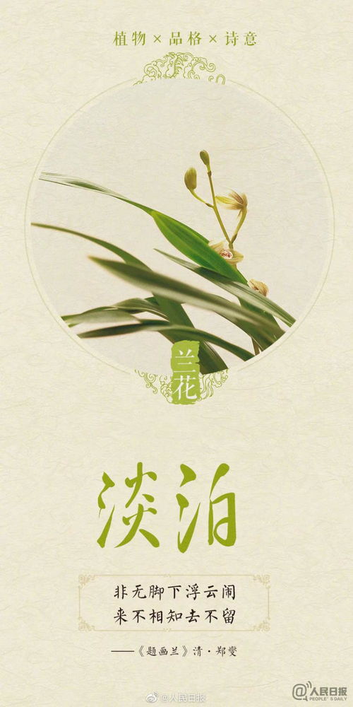 诗意满满 今天植树节,感受植物中的中国式浪漫