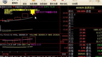 怎么看股票盘口100档，听说游资用的软件可以看股票盘口100档呢