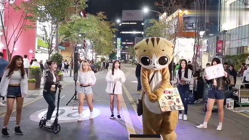 韩国网红玩偶当街热舞,身后小姐姐们互动的好嗨 