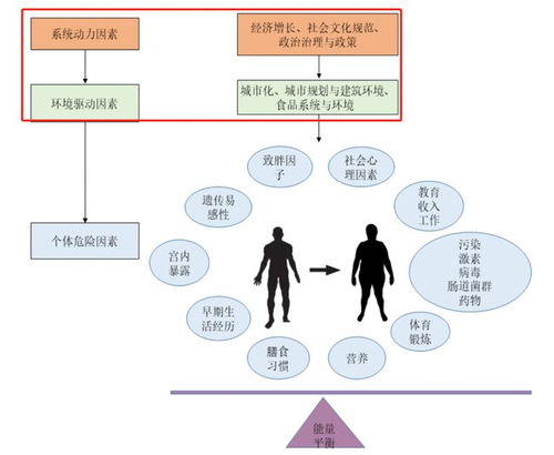 查重意义何在？一篇文章带您探究